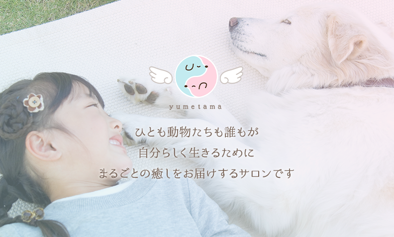 ヒーリングサロン ゆめたま